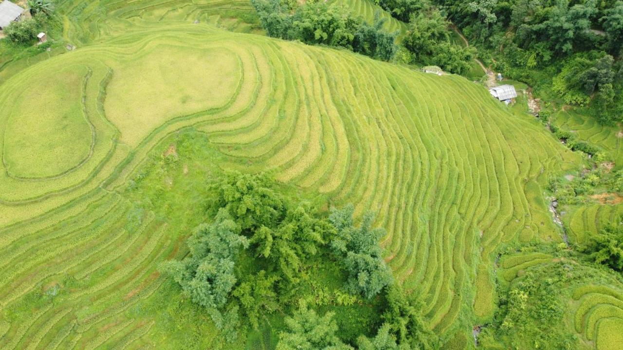 May Homestay Sapa Exteriér fotografie